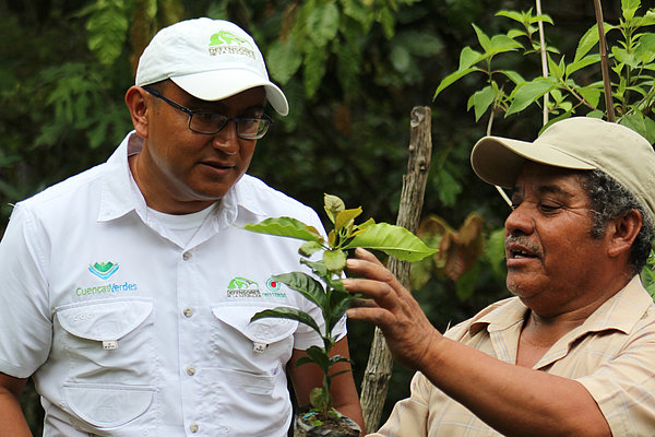 Marvin Ordoñez vom guatemaltekischen WasserWald-Partner Fundación Defensores de la Naturaleza inspiziert gemeinsam mit dem Projektteilnehmer Mauricio Hernández Kaffee-Setzlinge für ein neues Agroforstsystem.