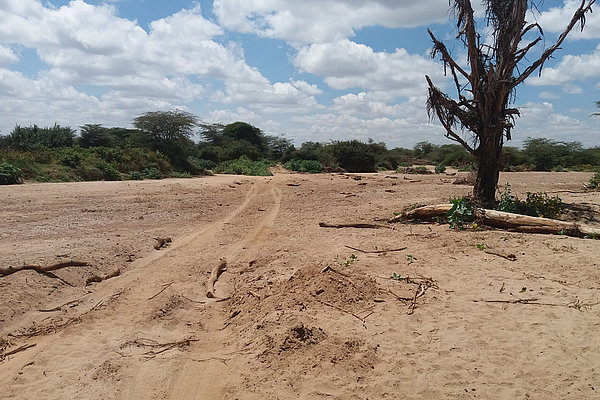 Großes, trockenes Flussbett auf dem Weg nach Mashuru in Kajiado County