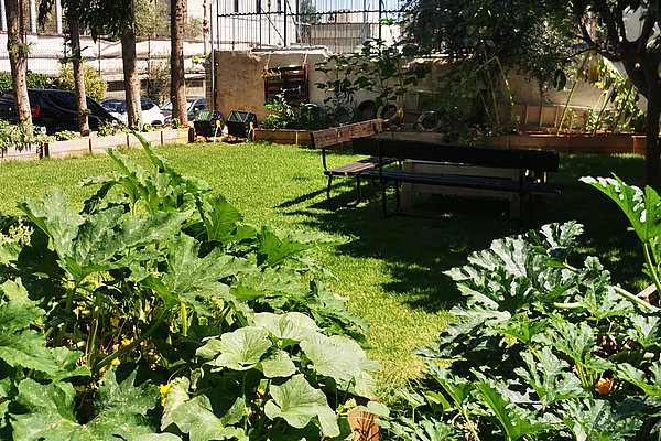 Die Küche des Hauses, in der das Team und die Bewohner gemeinsam essen, verarbeitet das Gemüse aus dem Garten für die Mahlzeiten. Dabei wird immer öfter über Ökologie und Umweltschutz diskutiert. 