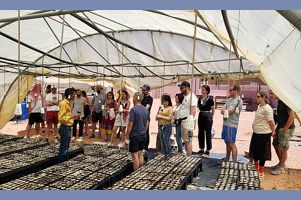 URI MENA und Desert Bloom Cooperation Circle hosten Teilnehmer*innen einer Studiengruppe eine Woche lang zum Thema "Peace of Mind". Hier setzen sie bei einem Workshop Pflanzen gegen Desertifikation (Wüstenbildung).
