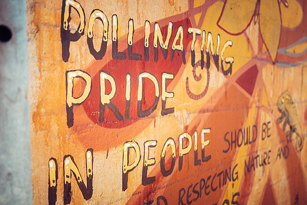 "Pollinating pride in people", in Deutsch: die Menschen mit Stolz erfüllen. Auch das ist eines der Ziele des BAP. Die NGO setzt auf die Kunst als Mittel zum Wachsen und Heilen.